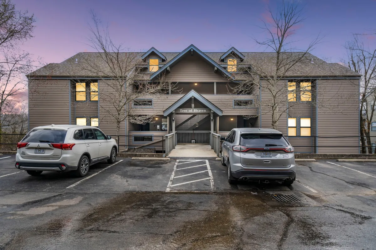 The building entrance is warmly framed by trees, with cars parked conveniently in front and a tranquil atmosphere. The shot suggests ease of arrival, accessibility, and a welcoming place to begin and end each adventure.